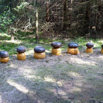 Naučná stezka "K pramenům Svitavy"