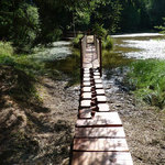 Naučná stezka "K pramenům Svitavy"